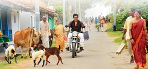 Soggade Chinni Nayana Wallpapers